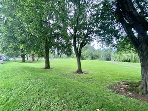 Park Views- click for photo gallery
